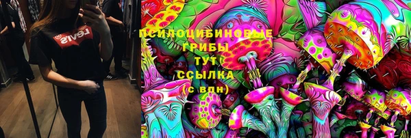 шишки Богородицк